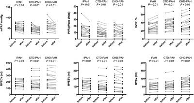 Acute Iloprost Inhalation Improves Right Ventricle Function in Pulmonary Artery Hypertension: A Cardiac Magnetic Resonance Study